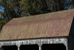 Rusted Metal Barn Roof Harwood MD