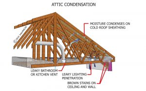 signs of moisture in the attic