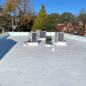 fichtner-roofing-flat4 fichtner-roofing-flat4