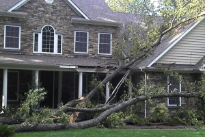 Tree Damaged Roof Repaired By Fichtner Services